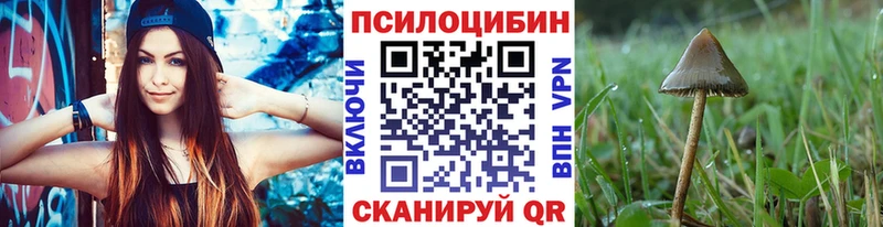 наркота  Курган  Галлюциногенные грибы Psilocybine cubensis 